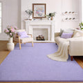 Soft Rugs for Living Room 4x6 Light Purple, Modern Area Rug for Bedroom Nursery by BBENRON