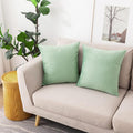 NiNi ALL Decorative Throw Pillow Covers Pack of 2, Velvet Cushion Case by NiNiALL
