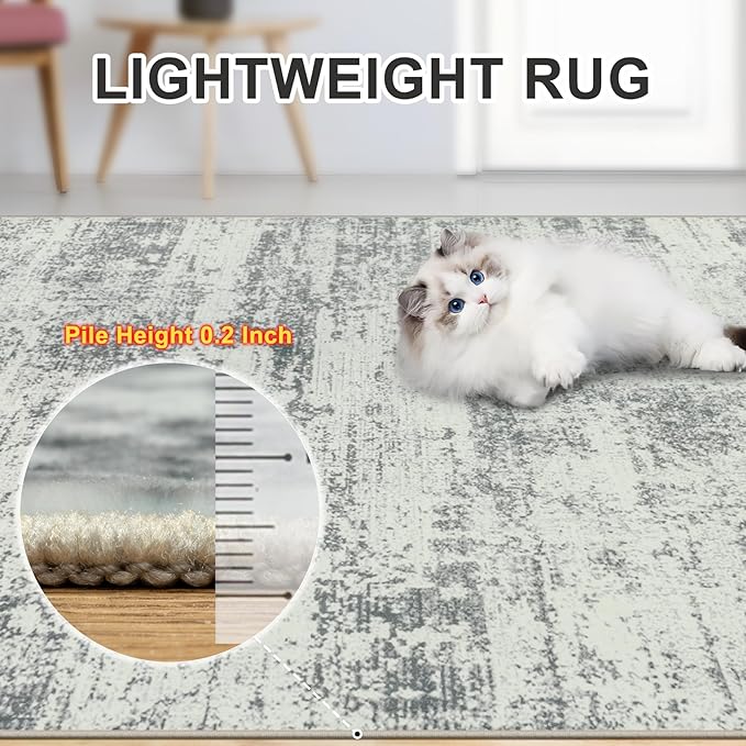 Area Rugs 10x12 Living Room - Image 6