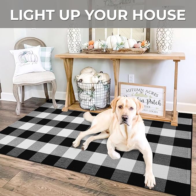 IOHOUZE Buffalo Plaid Checkered Rug 3x5 Ft Front Door Mats, Washable Area Rugs - Image 4