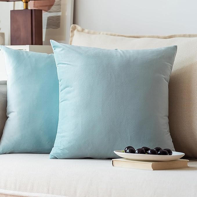 NiNi ALL Decorative Throw Pillow Covers Pack of 2, Velvet Throw Pillow Cases by NiNiALL