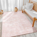 LIANLAM Washable Rug 4x6 Area Rugs by LIANLAM