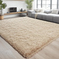 Chicrug Soft Area Rugs for Bedroom Living Room Plush Fluffy Rug 3x5 Feet by ChicrugHomeDecor