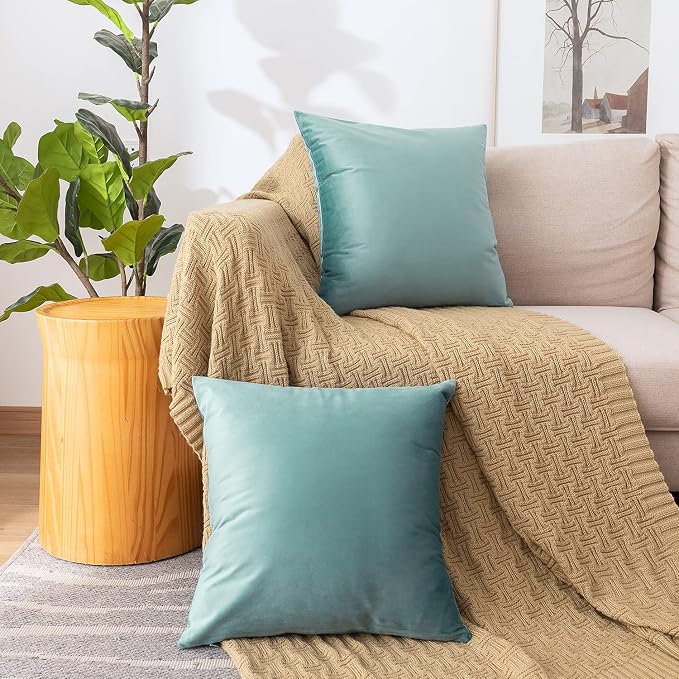 NiNi ALL Decorative Throw Pillow Covers Pack of 2, Velvet Cushion Case - Image 2
