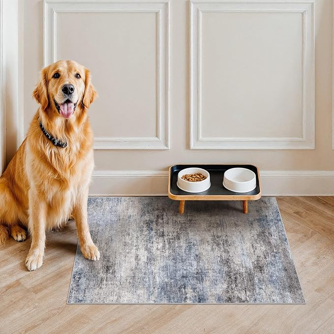 Washable Non-Slip 2x3 Area Rug - Image 3