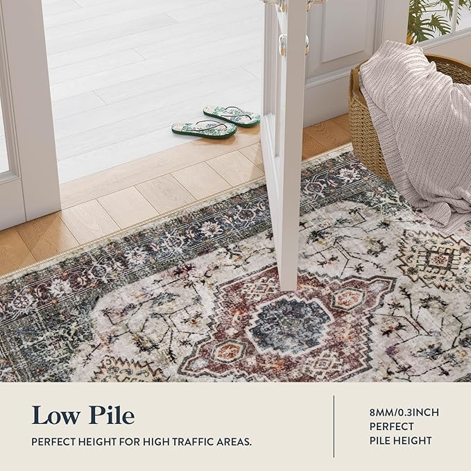 Lahome Oriental Small Rugs for Entryway, 2x3 Rug Non Slip Washable Door Mat - Image 2
