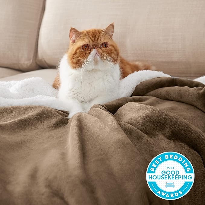 Bedsure GentleSoft Sherpa Fleece Blanket Queen Size - Image 2