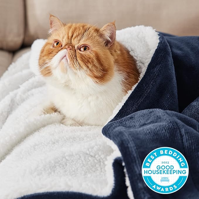 Bedsure GentleSoft Sherpa Fleece Throw Blanket - Image 2