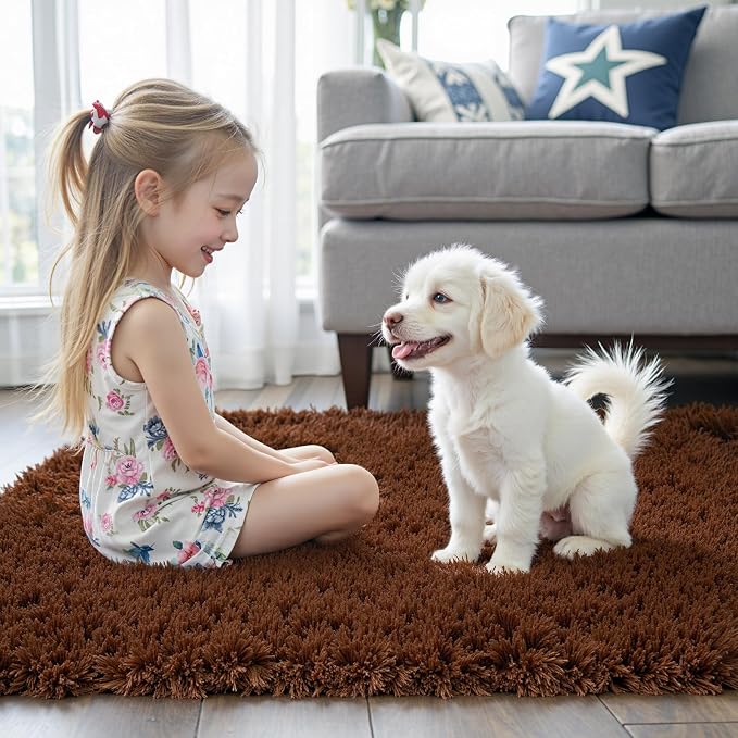 Rugs for Living Room 5x8, Alfombras para Salas Shag Large Plush Soft Area Rug - Image 2
