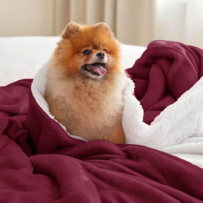 Bedsure GentleSoft Sherpa Fleece Throw Blanket - Image 2