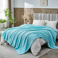 NEWCOSPLAY Super Soft King Blanket Turquoise Premium Silky Flannel Fleece by NEWCOSPLAY
