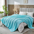 NEWCOSPLAY Super Soft Queen Blanket Turquoise Premium Silky Flannel Fleece by NEWCOSPLAY
