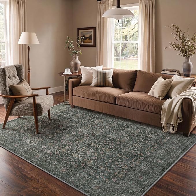 Bavni Area Rugs for Living Room, 5x7 Area Rugs Non-Slip Washable，Ultra-Thin by BAVNI