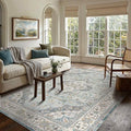 Area Rugs 5x7, Washable Rugs for Living Room, Vintage Boho Indoor Soft Carpet by OHWPEAT