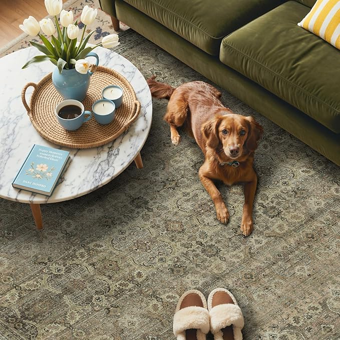 GENIMO 3x5 Area Rugs for Living Room, Machine Washable Non Slip Vintage Rugs - Image 3