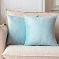 NiNi ALL Decorative Throw Pillow Covers Pack of 2, Velvet Throw Pillow Cases by NiNiALL