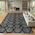 ONASAR 8x10 Area Rugs for Living Room, Fluffy Grey and Black Bedroom Rug by ONASAR