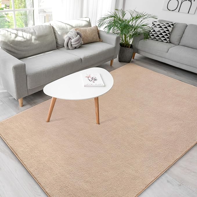 Soft Rugs for Living Room 4x6 Beige, Minimalist Area Rug for Bedroom Nursery - Image 3