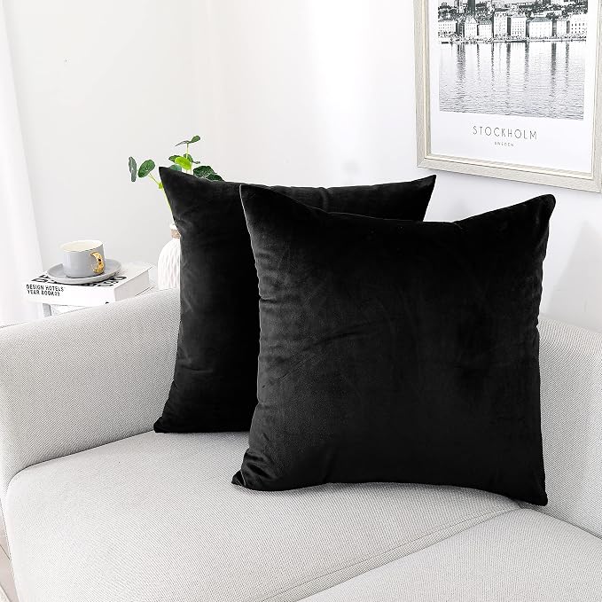 NiNi ALL Decorative Throw Pillow Covers Pack of 2 Velvet Throw Pillow Cases by NiNiALL