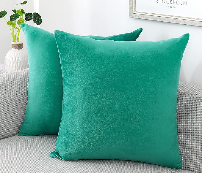 NiNi ALL Decorative Throw Pillow Covers Velvet Soft by NiNiALL