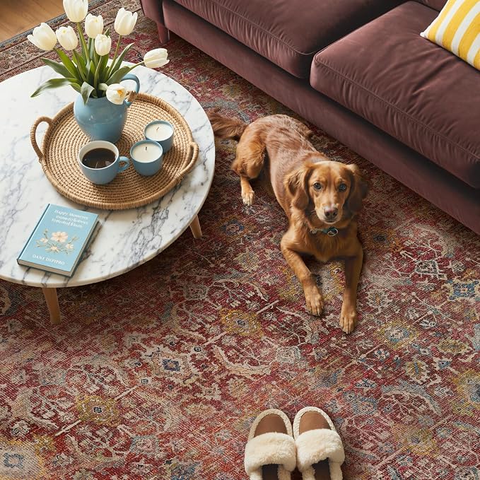 GENIMO 2x10 Runner Rugs for Hallway, Machine Washable Non Slip Vintage Rugs - Image 5