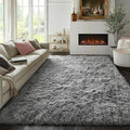 PAGISOFE Grey Area Rugs for Living Room Bedroom Rug 5x8 Rugs Soft Plush Fluffy by PAGISOFE