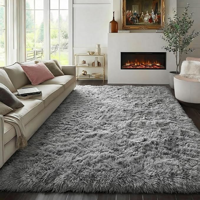 PAGISOFE Grey Area Rugs for Living Room Bedroom Rug 5x8 Rugs Soft Plush Fluffy by PAGISOFE