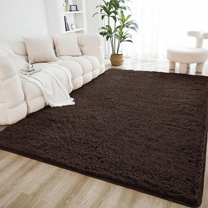 Litanika 4x6 Shag Area Rug for Living Room Bedroom, Non-Shedding Modern Indoor by Litanika