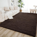 Litanika 6x9 Shag Area Rug for Living Room Bedroom, Non-Shedding Modern Indoor by Litanika