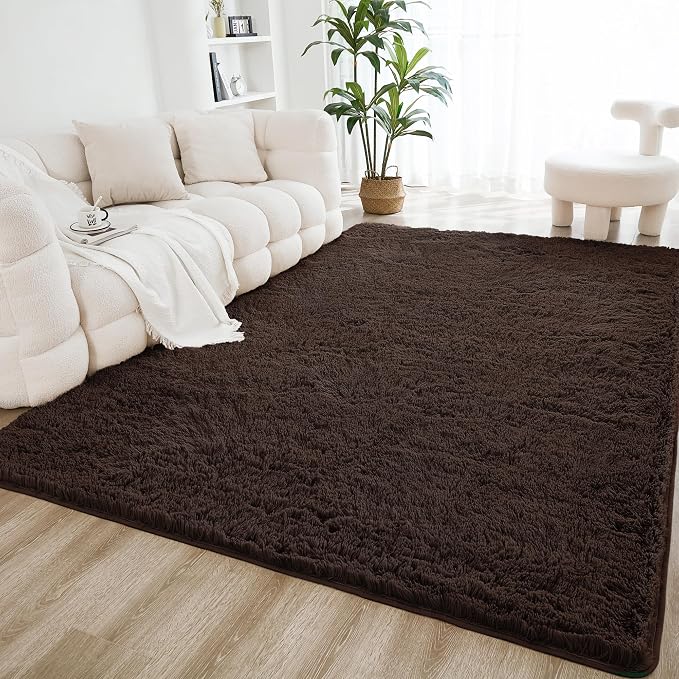 Litanika 6x9 Shag Area Rug for Living Room Bedroom, Non-Shedding Modern Indoor by Litanika