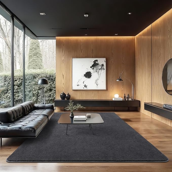 Soft Rugs for Living Room 6x9 Dark Grey, Minimalist Area Rug for Bedroom - Image 2