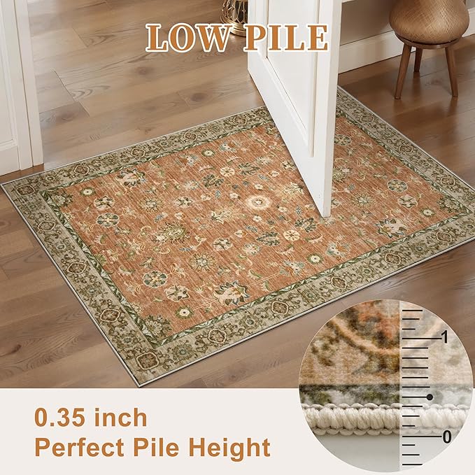 Tangsoo 5x8 Terracotta Area Rug - Image 4