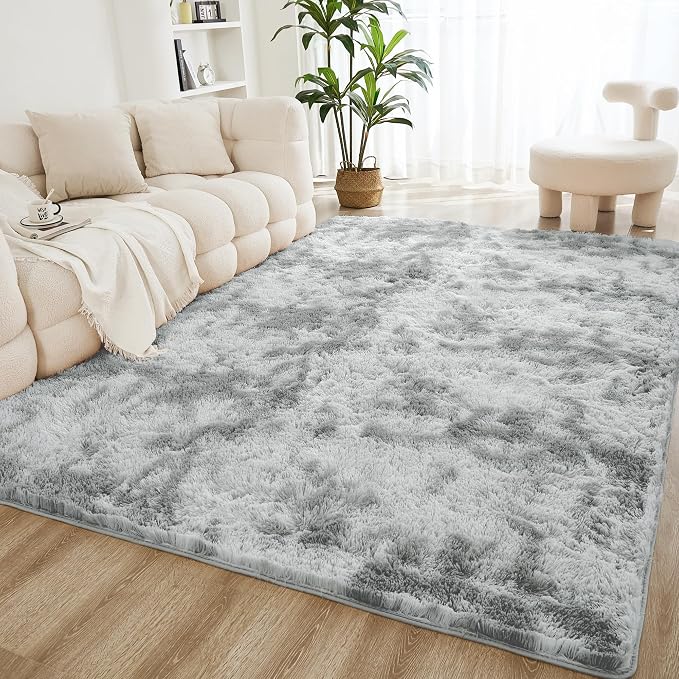 Litanika 4x6 Shag Area Rug for Living Room Bedroom, Tie-Dyed Light Grey High by Litanika