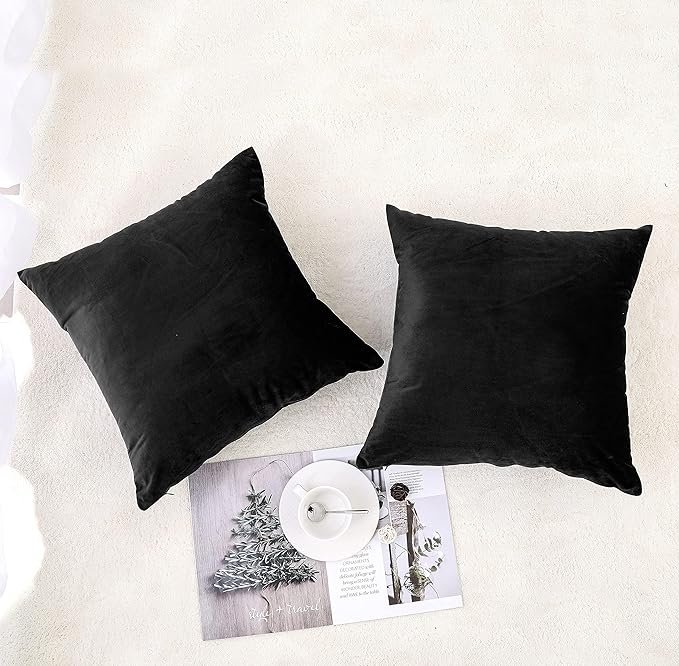 NiNi ALL Decorative Throw Pillow Covers Pack of 2, Velvet Throw Pillow Cases - Image 3