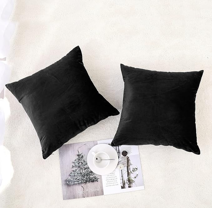 NiNi ALL Decorative Throw Pillow Covers Pack of 2, Velvet Throw Pillow Cases - Image 2