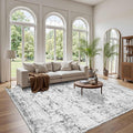Area Rugs 6x9, Washable Rugs for Living Room, Gery Rug, Vintage Boho Indoor by OHWPEAT