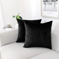 NiNi ALL Decorative Throw Pillow Covers Pack of 2, Velvet Throw Pillow Cases by NiNiALL