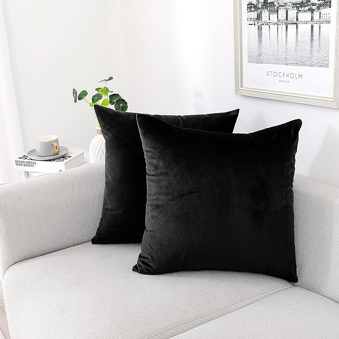 NiNi ALL Decorative Throw Pillow Covers Pack of 2, Velvet Throw Pillow Cases by NiNiALL