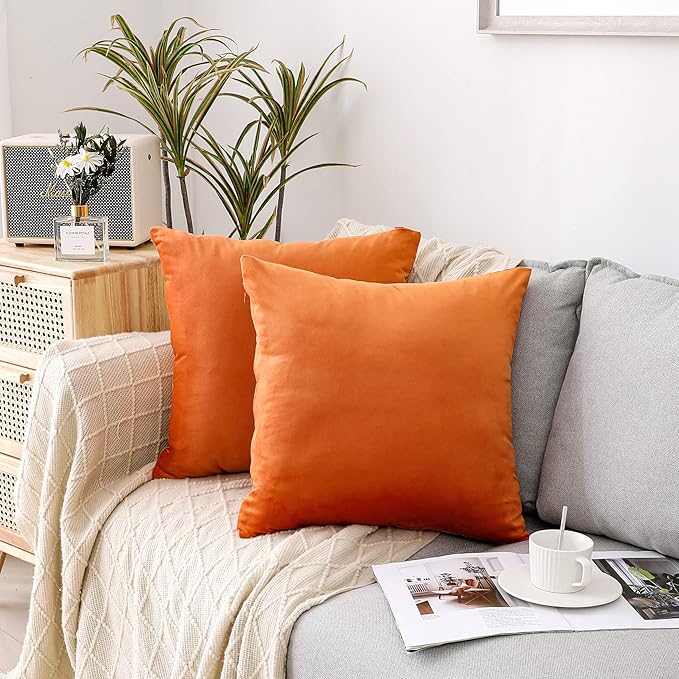 NiNi ALL Decorative Throw Pillow Covers Pack of 2, Halloween Velvet Cushion Case by NiNiALL
