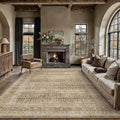 PureCozy Brown 6x9 Area Rug for Living Room Washable Vintage Distressed Large by PureCozy