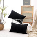 NiNi ALL Decorative Throw Pillow Covers Pack of 2 Velvet Throw Pillow Cases by NiNiALL