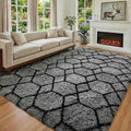 ONASAR 6x9 Area Rugs for Living Room Bedroom, Large Fluffy Grey and Black Throw by ONASAR