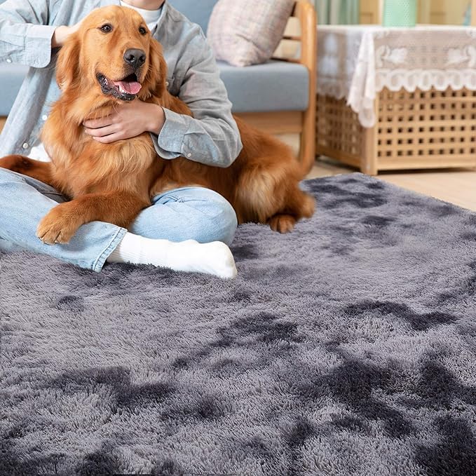 CAROMIO Shaggy Area Rug Modern Abstract Indoor Plush Fluffy Accent Rugs - Image 6