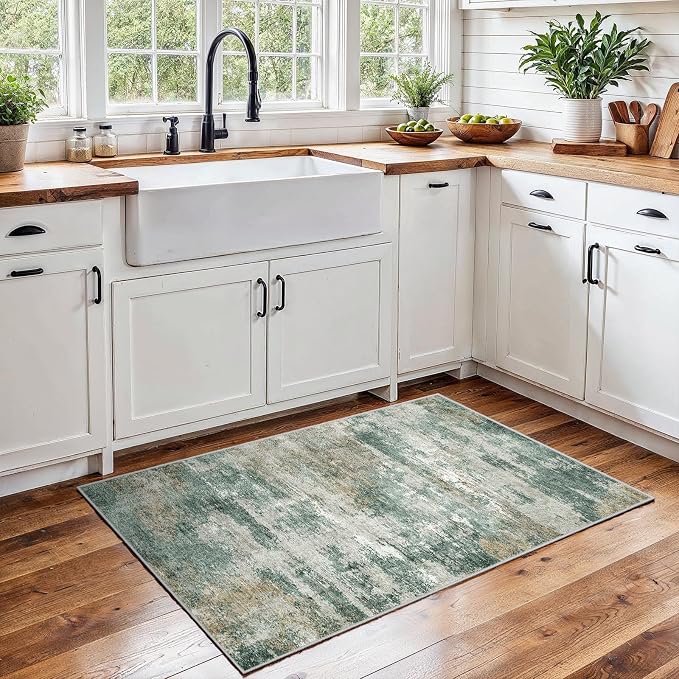 Washable Non-Slip 2x3 Area Rug by EISUROM