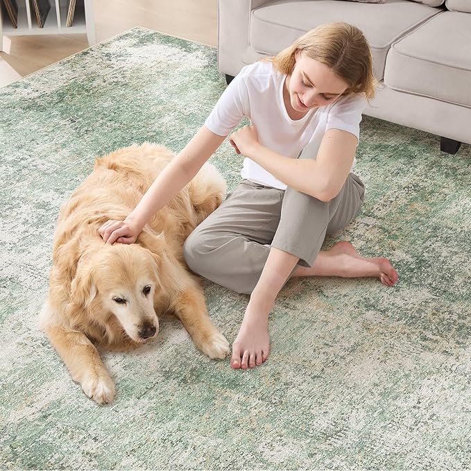DMOYEST Area Rug Living Room Rugs - Image 6