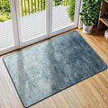 LIANLAM Washable 2x3 Entry Rugs by LIANLAM