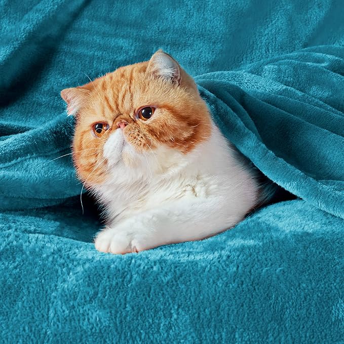 Bedsure GentleSoft Fleece Blankets King Size Teal - Image 2