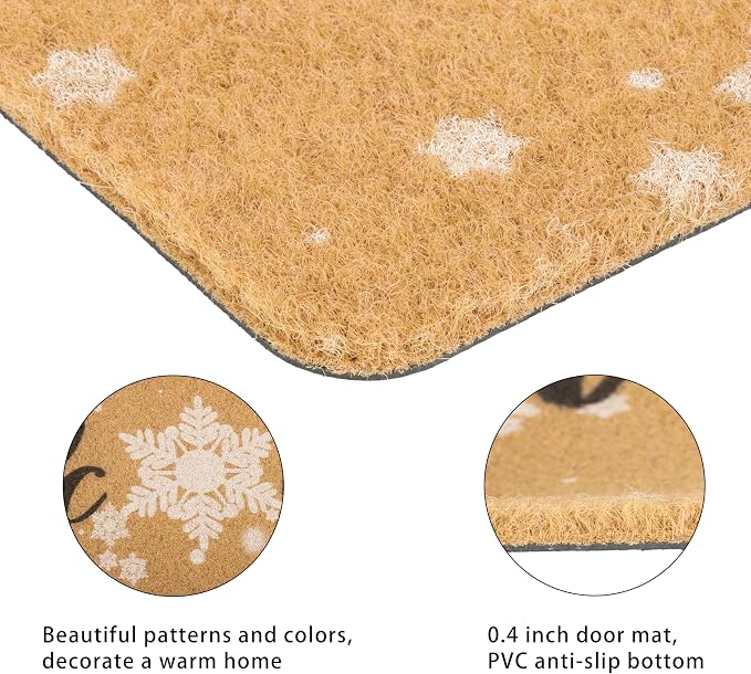 FGSS Winter-Snow-Welcome-Doormat Outdoor-Entrance - Image 4