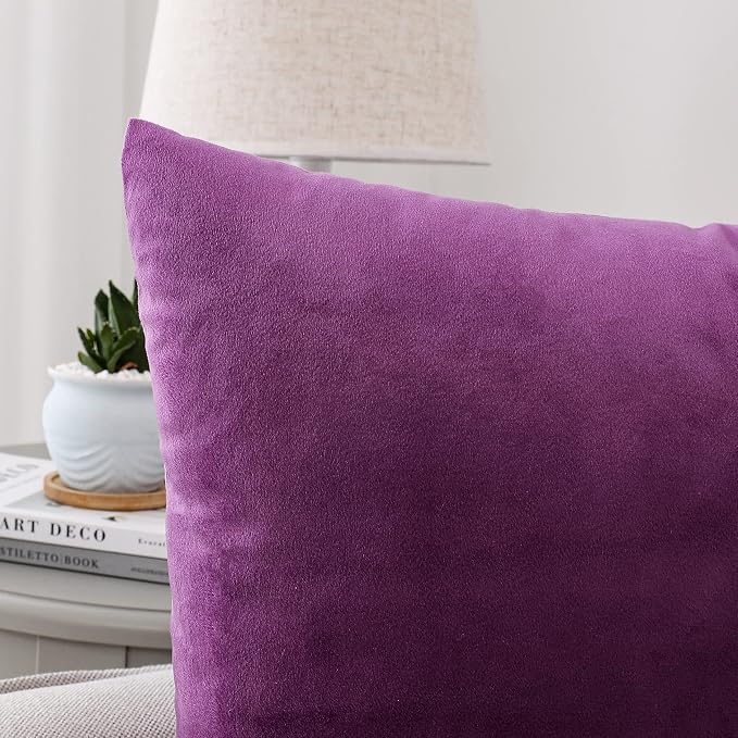 NiNi ALL Decorative Throw Pillow Covers Pack of 2, Velvet Throw Pillow Cases - Image 3