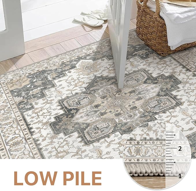 GENIMO Area Rug 2x3 Doormat, Machine Washable Low Pile Rugs, Small Retro - Image 5